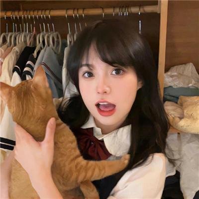 狮子彻夜未眠